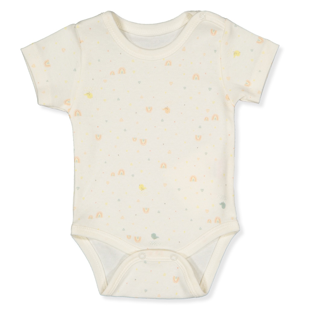 BODY ORGANIC COLORFUL BIRDS