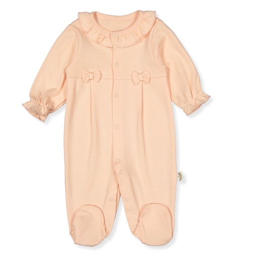 ENTERIZO ORGANIC COLORFUL BIRDS