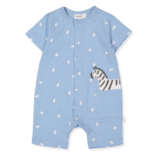 ENTERIZO WALKING ZEBRAS